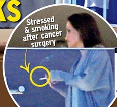 Angelina Jolies  public fight with Brad Pitt